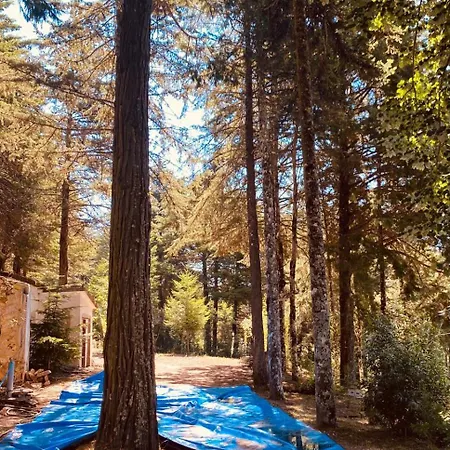 Country house Quinta Da Hortigueira - Country House