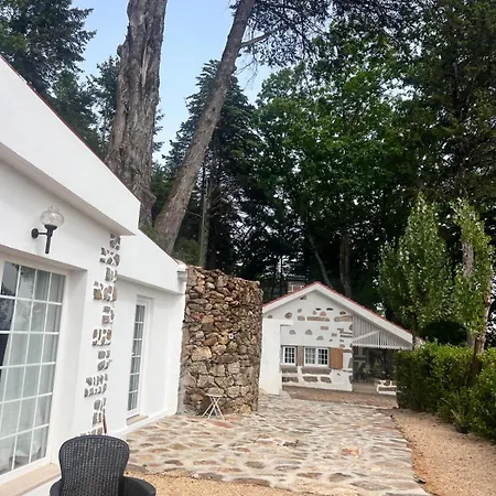 Quinta Da Hortigueira - Country House Country house Trancoso