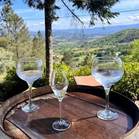 Quinta Da Hortigueira - Country House Trancoso